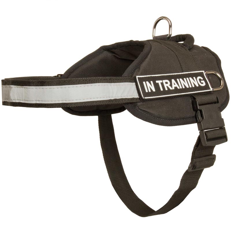 Nylon English Pointer Harness with Reflective Strap for Training, Walking, Police Service, SAR and More