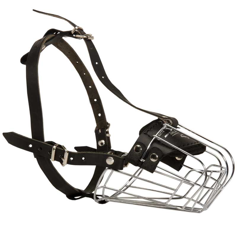 Wire Basket English Pointer Muzzle for Comfortable Walking and Training