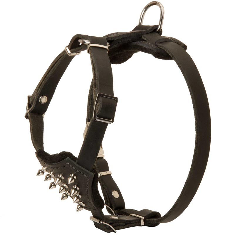 Durable Spiked Leather Puppy English Pointer Harness