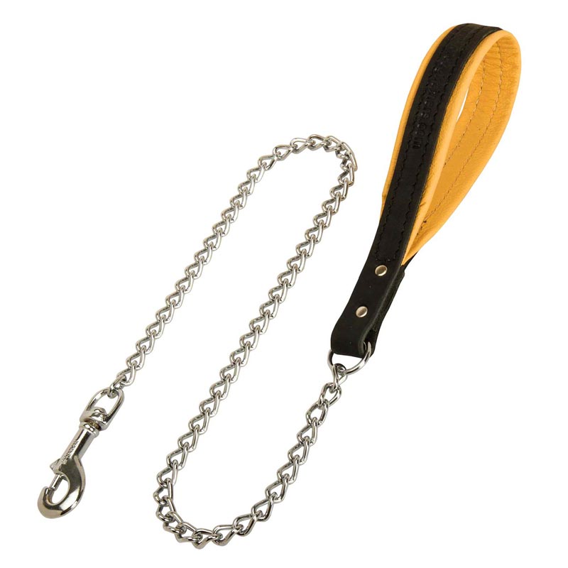 English Pointer Dog Leash with Leather Handle