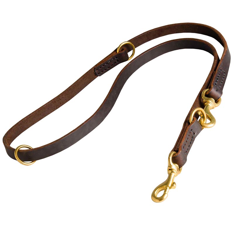 Multifunctional Leather English Pointer Leash