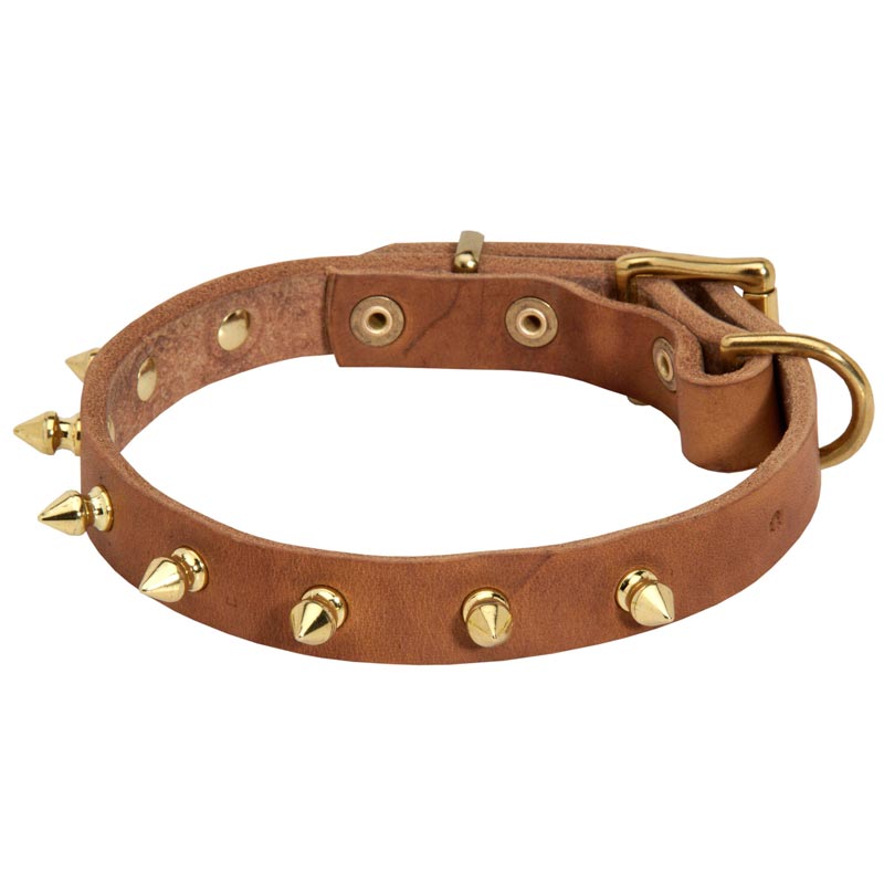 Walking Designer Leather English Pointer Collar with Brass Spikes