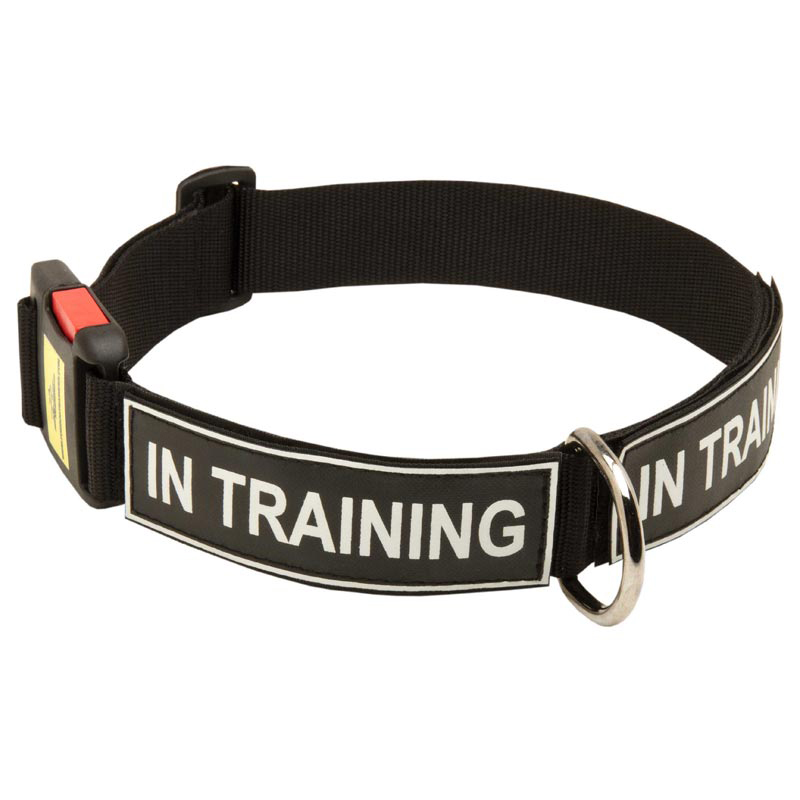 All Weather Nylon English Pointer Collar with ID Patches