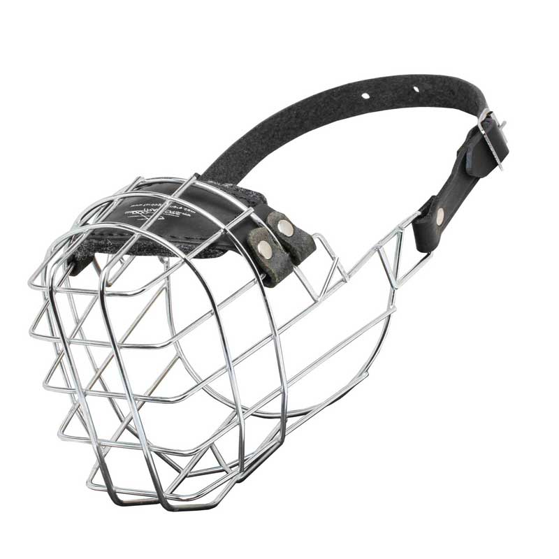 'The Silencer' Wire Cage English Pointer Muzzle With One Strap - Click Image to Close