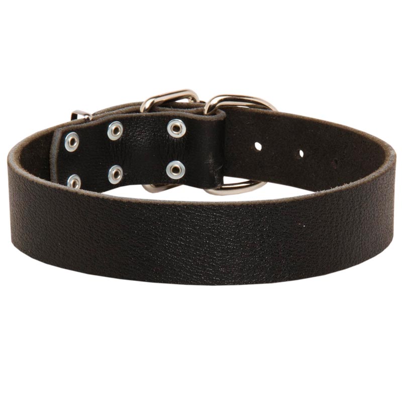 Wide Leather English Pointer Collar for Training and Walking