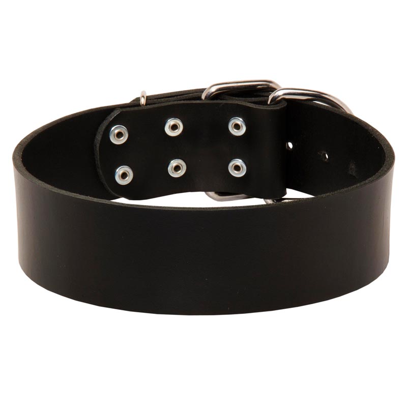 leather training collar