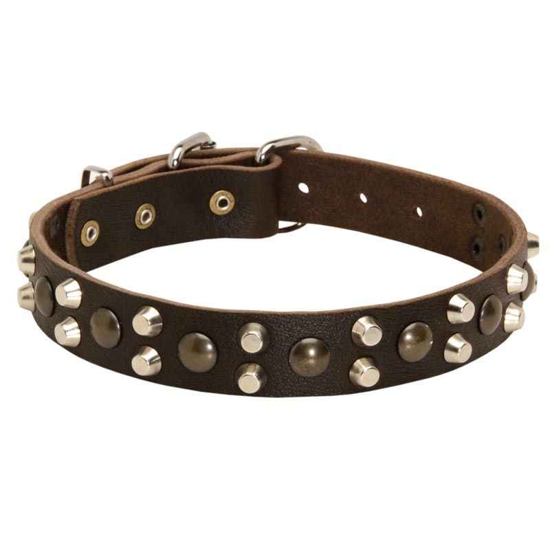 Leather English Pointer Collar With Studs and Pyramids - Click Image to Close