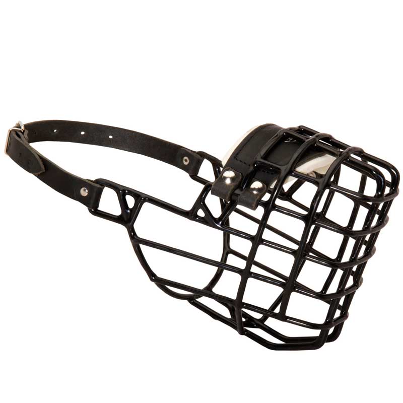 Frost-Resistant Wire Cage English Pointer Muzzle with One Adjustable Strap