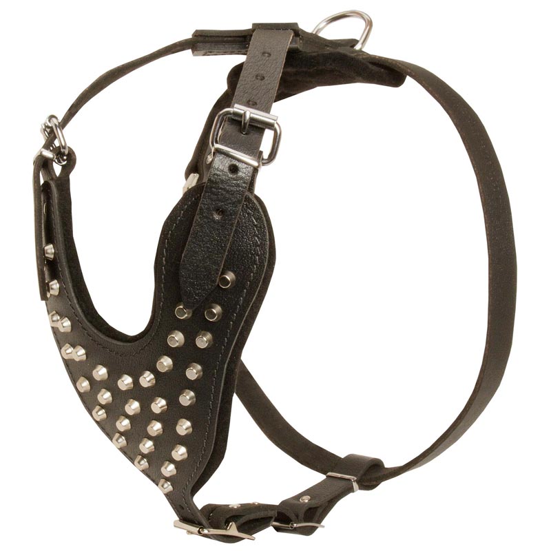 Adjustable Leather English Pointer Harness Studded for Fashion Walking