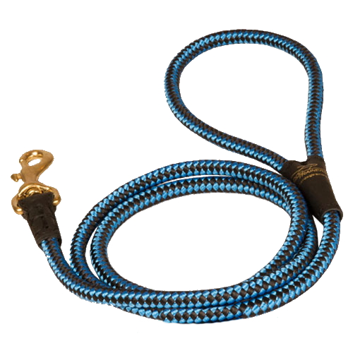 Cord nylon dog leash for English Pointer dog