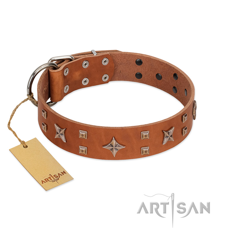 "Dreamy Gleam" FDT Artisan Tan Leather English Pointer Collar Adorned with Stars and Squares