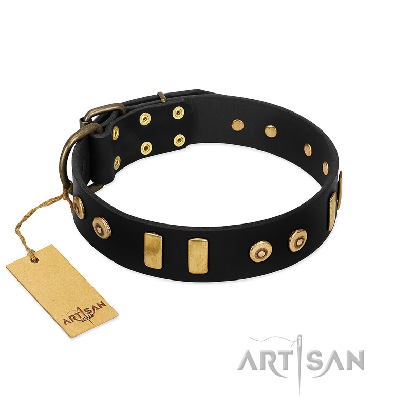 "Rare Dog" FDT Artisan Black Leather English Pointer Collar with Old Bronze-like Dotted Studs and Tiles