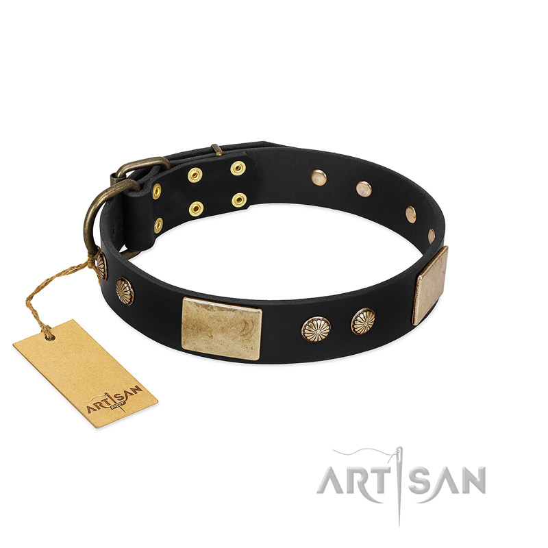 "Antique Gloss" FDT Artisan Black Leather English Pointer Collar with Bronze-like Plates and Small Studs