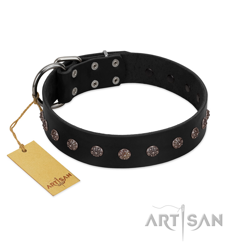 "Flower Rhapsody" FDT Artisan Premium Quaulity Black Leather English Pointer Collar