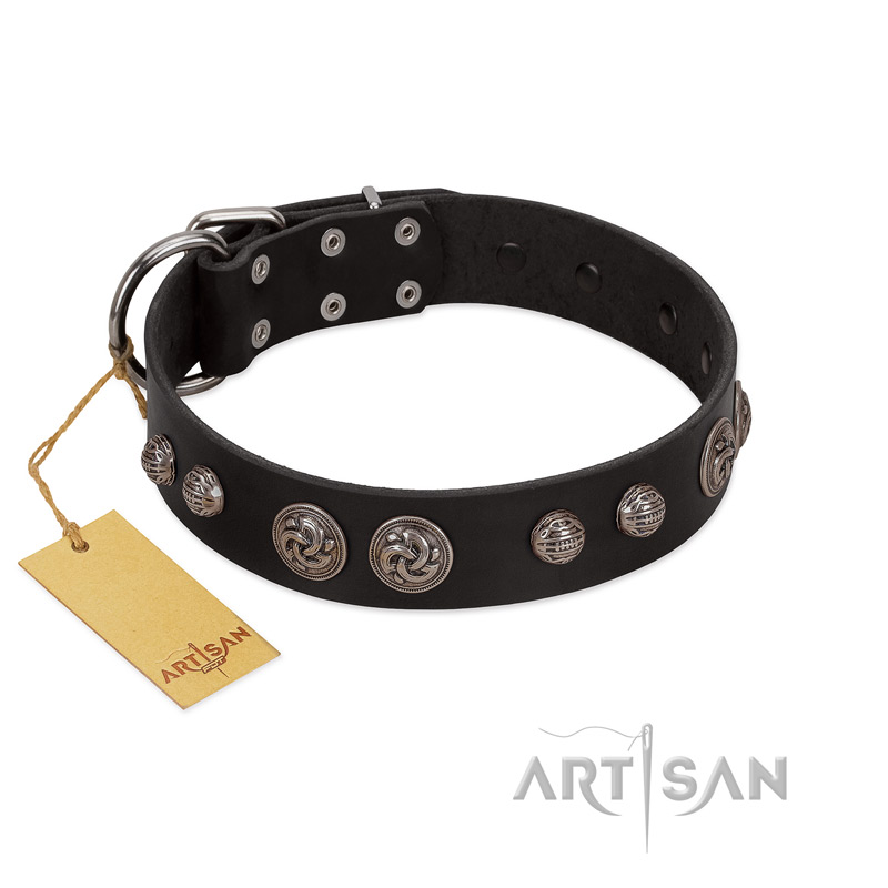 "Tricky Ricky" FDT Artisan Black Leather English Pointer Collar Adorned with Silver-Like Conchos
