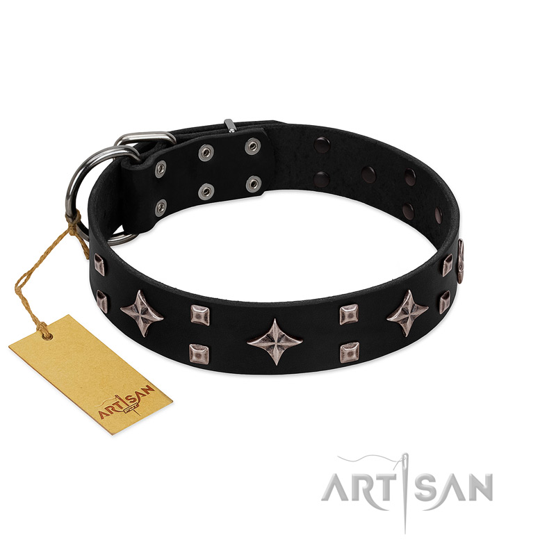 "Snappy Dresser" FDT Artisan Black Leather English Pointer Collar Adorned with Stars and Tiny Squares