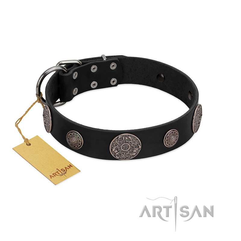 "Ad Infinitum" Durable FDT Artisan Black Leather English Pointer Collar with Chrome Plated Brooches