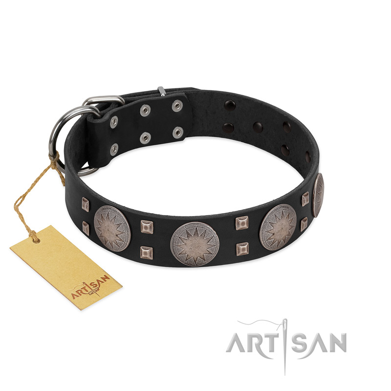 "Sun in Shining" Modern FDT Artisan Black Leather English Pointer Collar with Studs and Stars