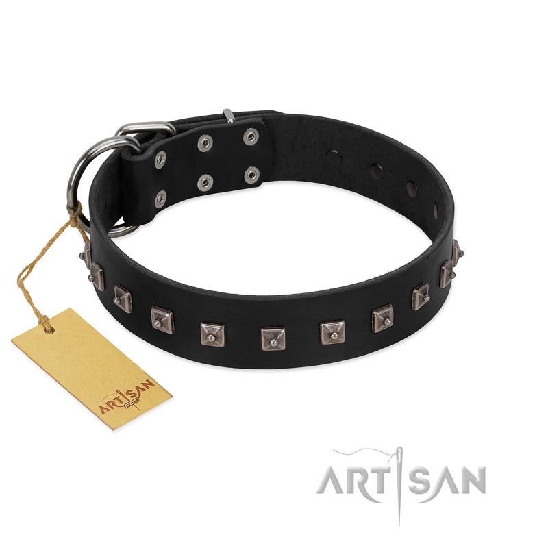 "Natural Beauty" Premium Quality FDT Artisan Black Designer English Pointer Collar with Dotted Studs