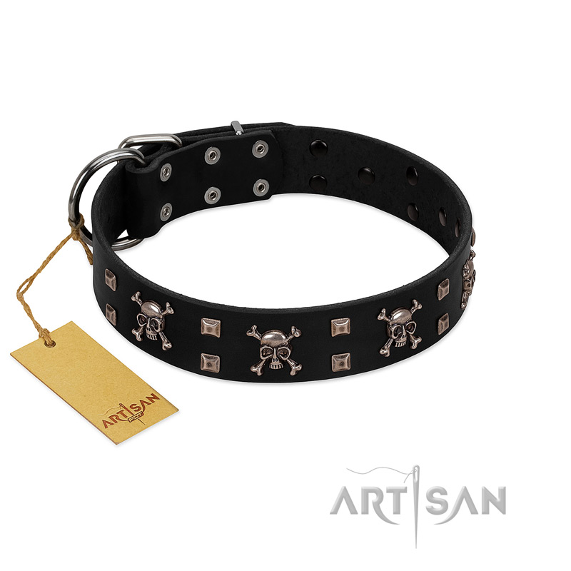 "Black Jack" Stylish Handmade FDT Artisan Black Leather English Pointer Collar
