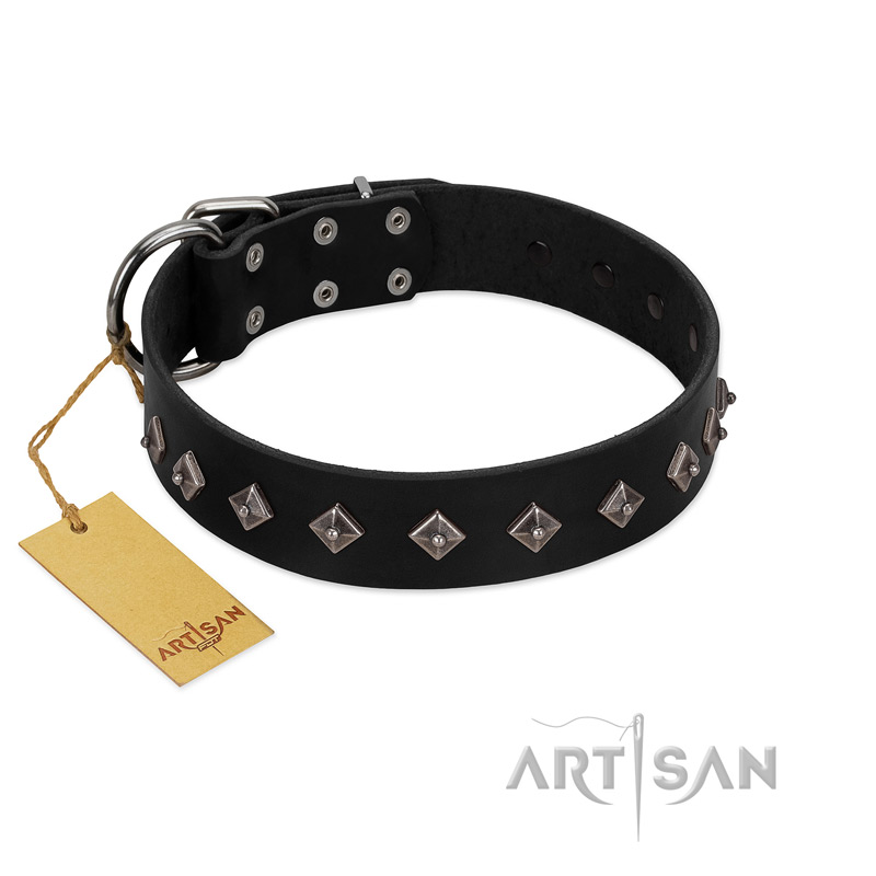"Immense Power" Handcrafted FDT Artisan Black Leather English Pointer Collar with Small Dotted Pyramids