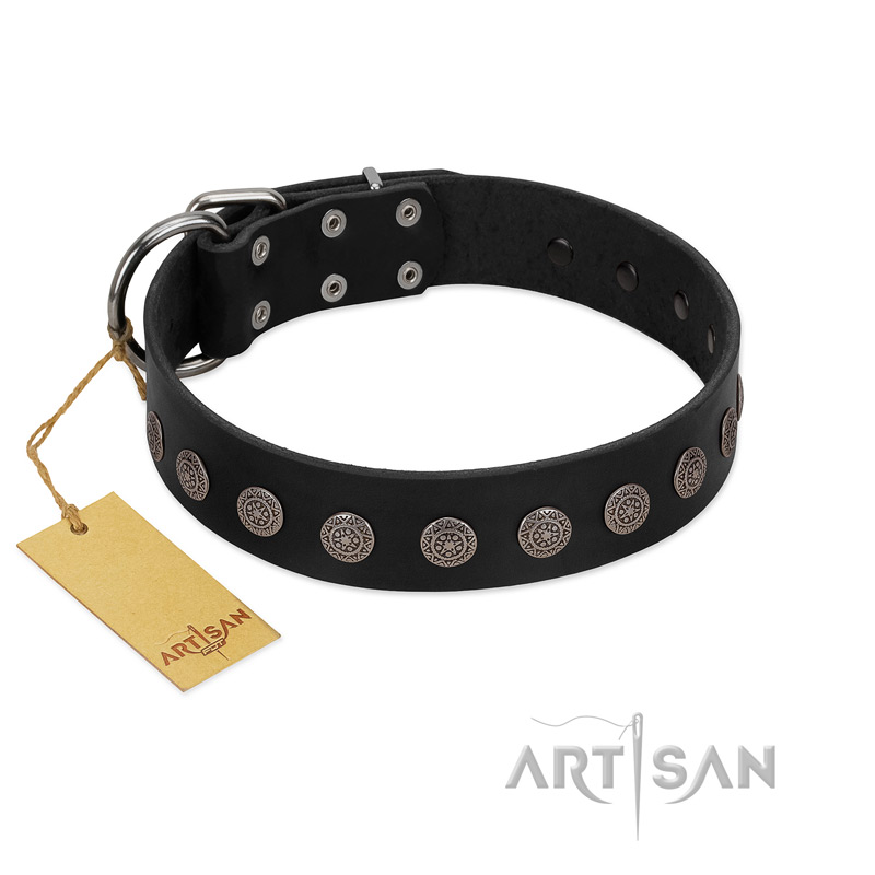 "Silent Star" Handmade FDT Artisan Designer Black Leather English Pointer Collar with Engraved Plates