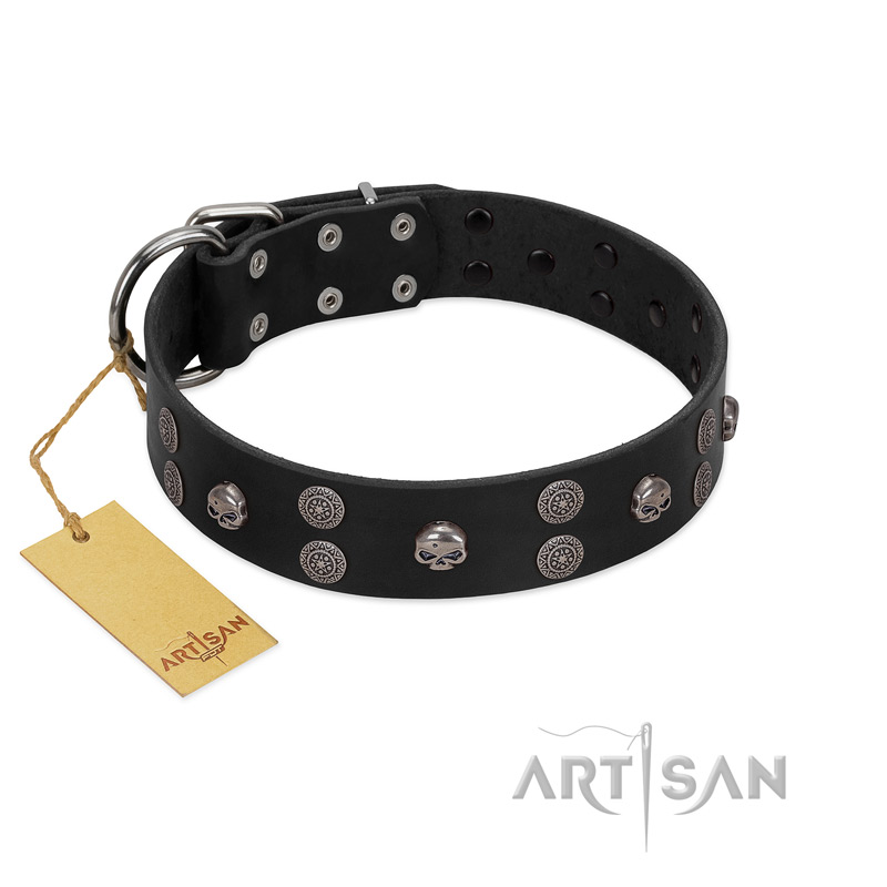 "Skull Art" Designer Handmade FDT Artisan Black Leather English Pointer Collar with Skulls