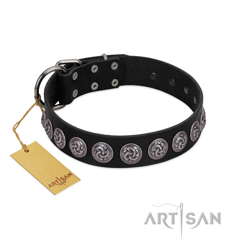 "Black Raven" Handmade FDT Artisan Black Leather English Pointer Collar with Silver-Like Adornments
