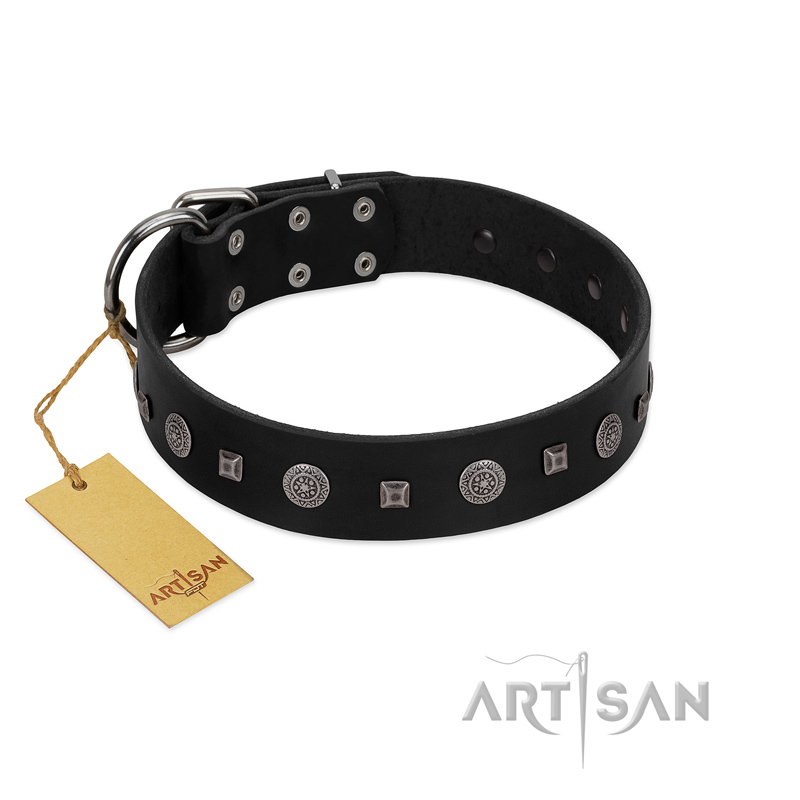 "Mr. Elegance" Designer FDT Artisan Black Leather English Pointer Collar with Silver-Like Studs