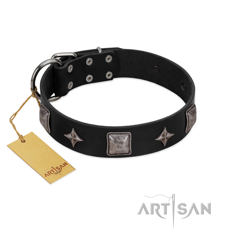 "Black Cavalier" Handmade FDT Artisan Black Leather English Pointer Collar with Silver-Like Stars and Large Plates