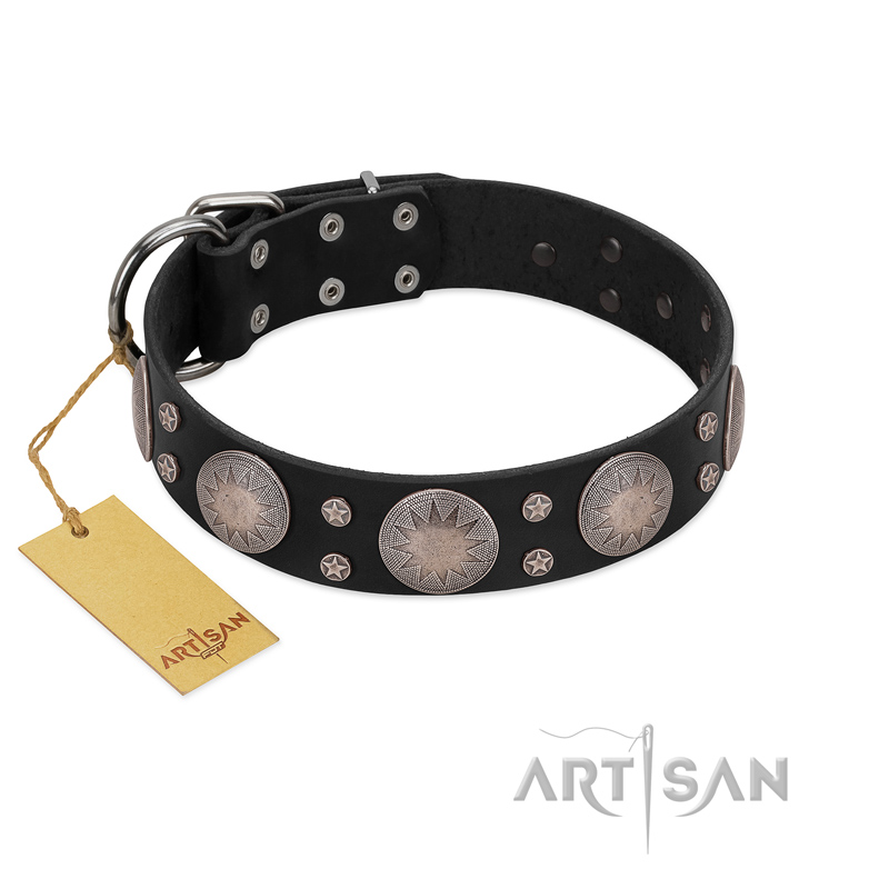 "Starry Sky" Trendy FDT Artisan Black Leather English Pointer Collar with Large Brooches