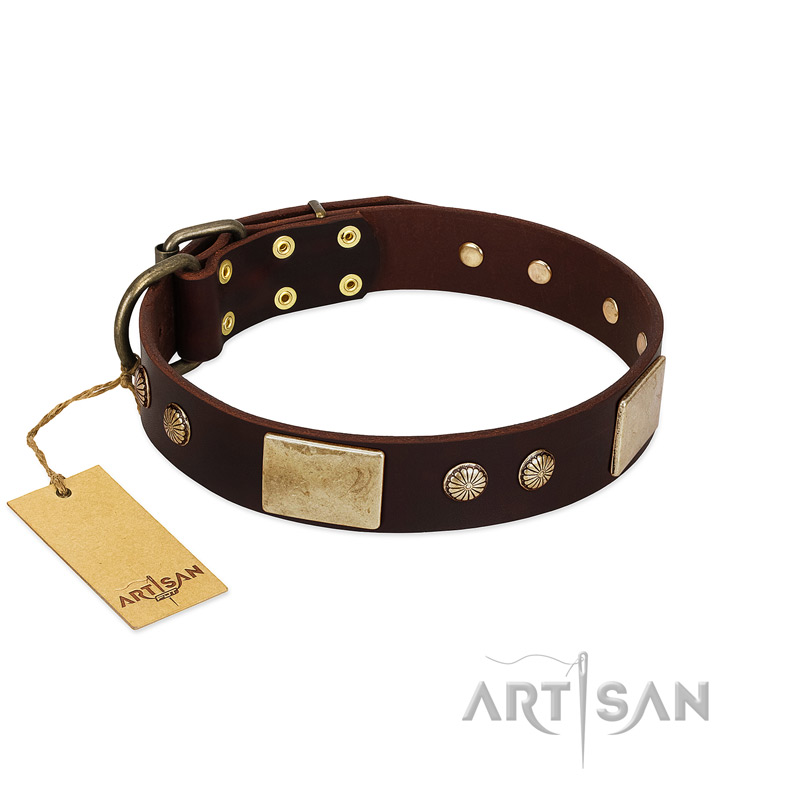 "Middle Age" FDT Artisan Brown Leather English Pointer Collar with Old Bronze-Plated Engraved Flowers and Large Plates
