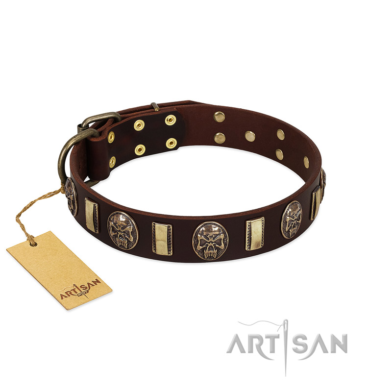 "Skull's Adventure" FDT Artisan Brown Leather English Pointer Collar with Plates and Ovals