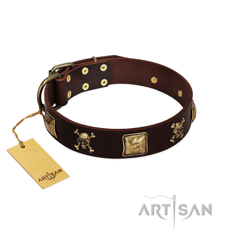 "Crazy Pirate" FDT Artisan Brown Leather English Pointer Collar with Old Bronze-Plated Skulls and Plates