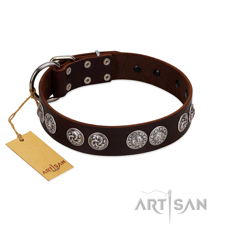 "High and Mighty" FDT Artisan Classy Brown Leather English Pointer Collar with Embellished Brooches