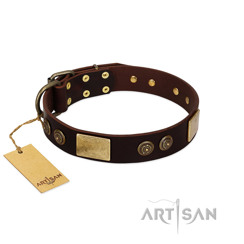 "Bow-Wow Effect" FDT Artisan Brown Leather English Pointer Collar with Plates and Ornate Studs