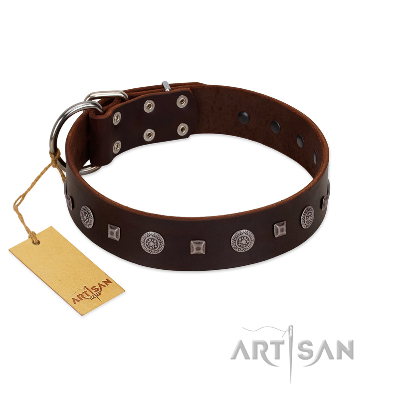 "Pure Sensation" Exclusive FDT Artisan Brown Leather English Pointer Collar with Fancy Brooches and Studs