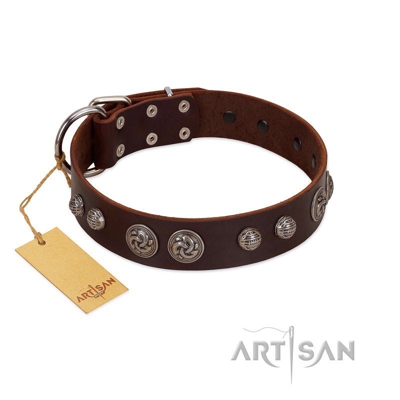 "Choco Brownie" FDT Artisan Brown Leather English Pointer Collar Adorned with Silver-Like Conchos