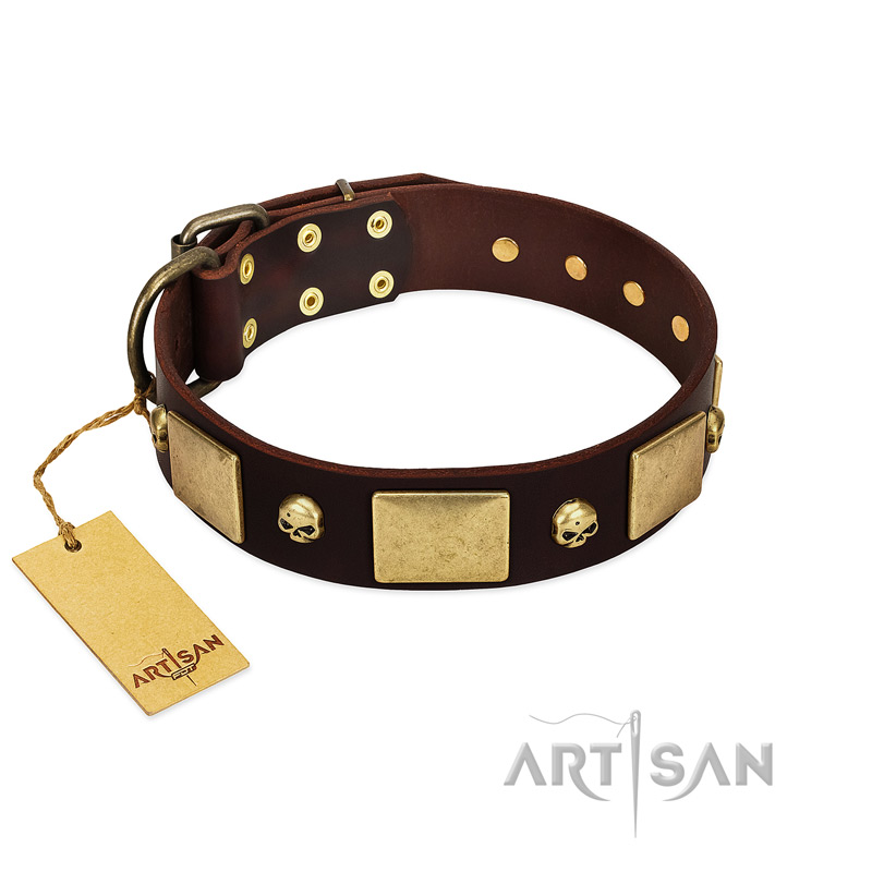"Heavy Metal" FDT Artisan Brown Leather English Pointer Collar with Old Bronze-like Skulls and Plates