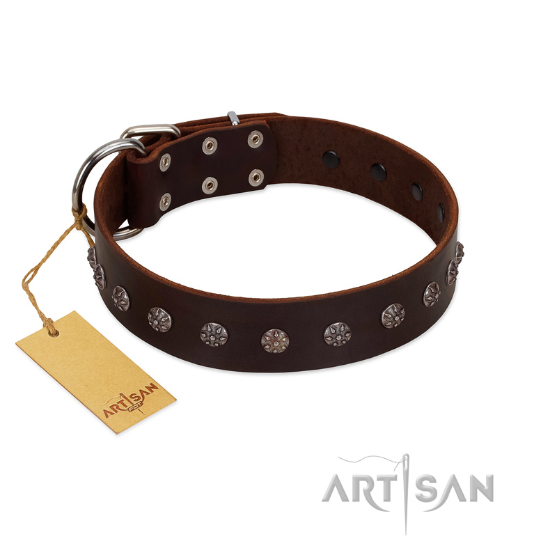"Graceful Classic" Mod FDT Artisan Brown Leather English Pointer Collar