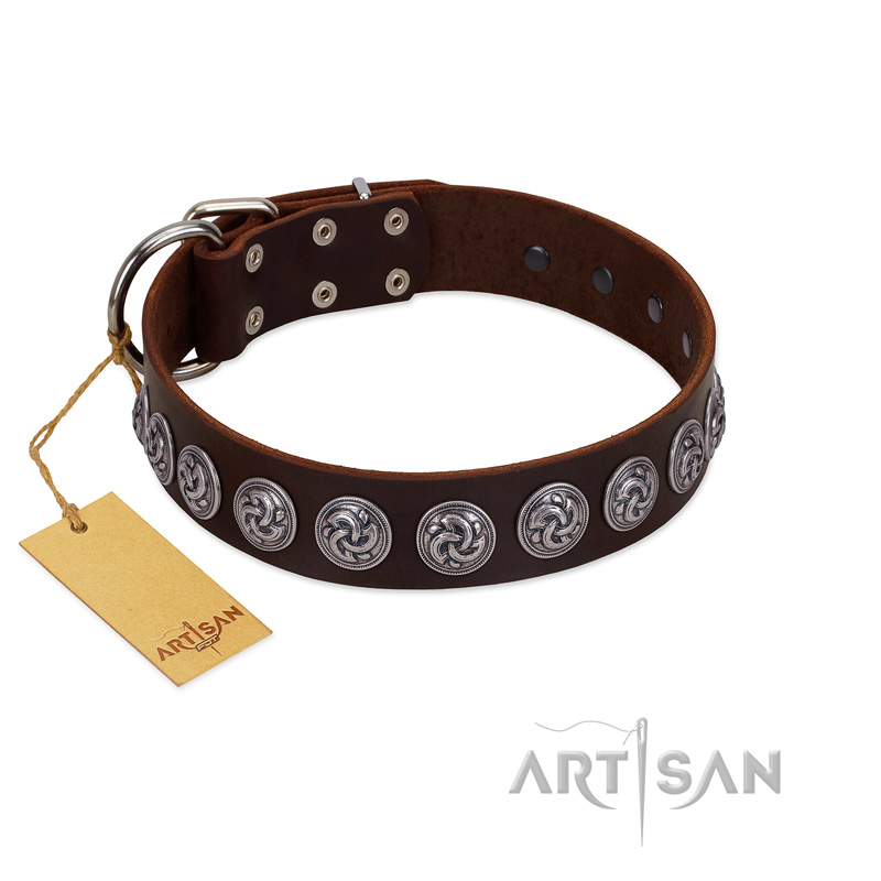 "Charming Circles" FDT Artisan Brown Leather English Pointer Collar with Silver-like Studs