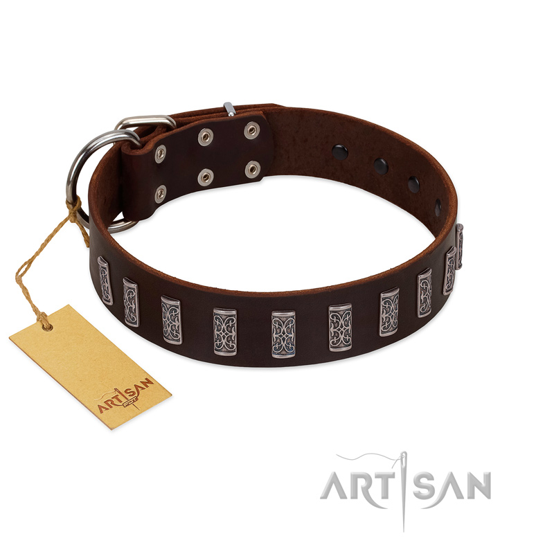 "Brown Lace" Handmade FDT Artisan Brown Leather English Pointer Collar for Everyday Walks