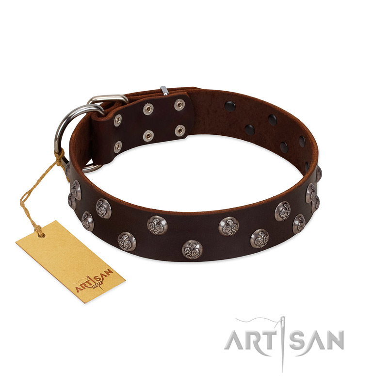 "Blossom Jewel" FDT Artisan Brown Leather English Pointer Collar with Two Rows of Silver-like Studs with Engraved Flowers