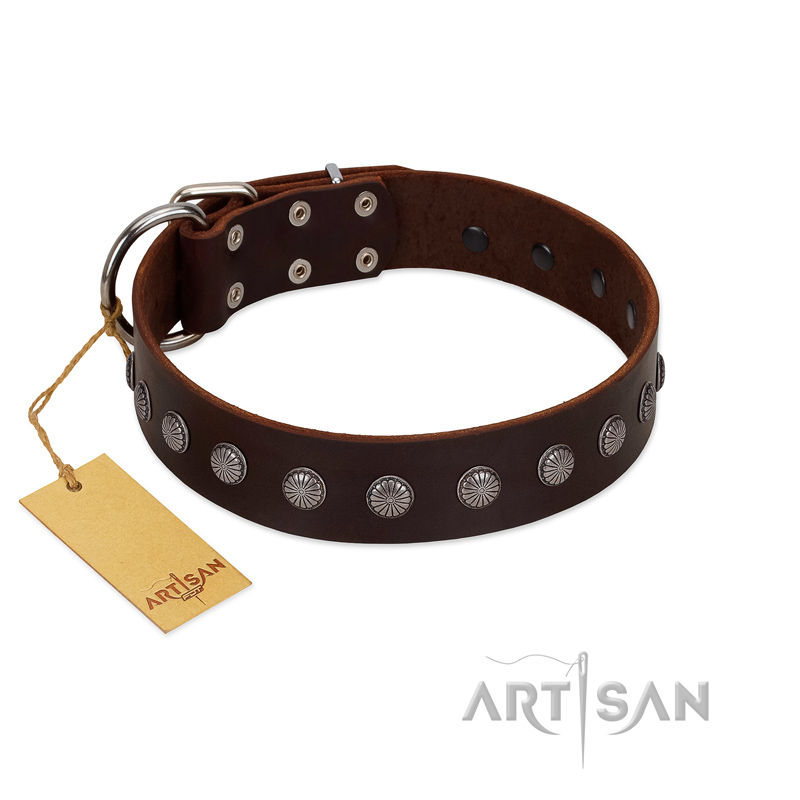 "Spring Flower" Stylish FDT Artisan Brown Leather English Pointer Collar for Comfy Walks