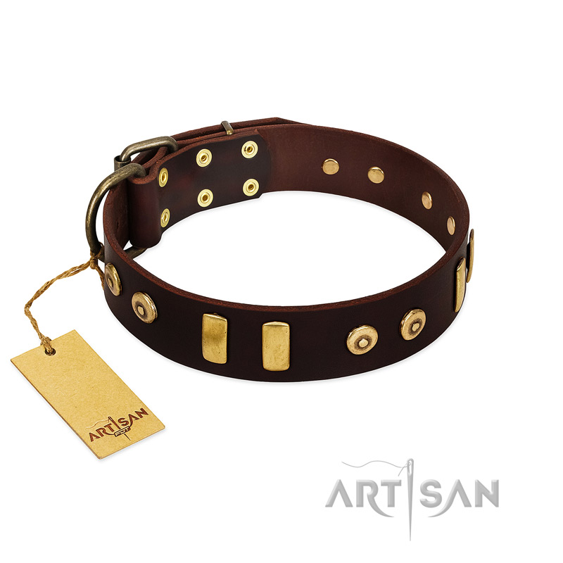 "Lord of Dogs" FDT Artisan Brown Leather English Pointer Collar with Old Bronze-like Dotted Studs and Tiles