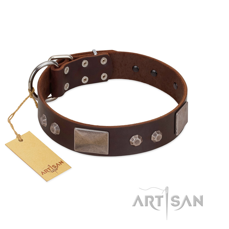 "Stone Stars" Stylish Handmade FDT Artisan Brown Leather English Pointer Collar