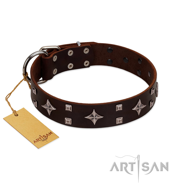 "Trendy Candy" FDT Artisan Brown Leather English Pointer Collar Adorned with Stars and Tiny Squares