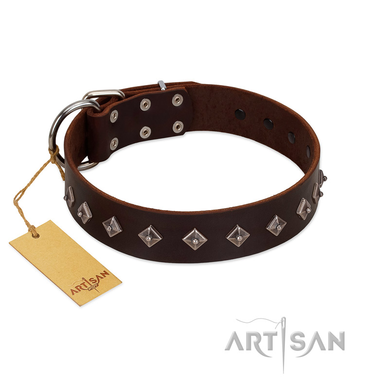 "Boundless Energy" Premium Quality FDT Artisan Brown Designer Leather English Pointer Collar with Small Pyramids