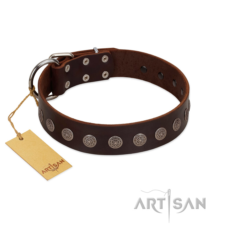 "Starry-Eyed" Best Quality FDT Artisan Brown Designer Leather English Pointer Collar with Small Plates