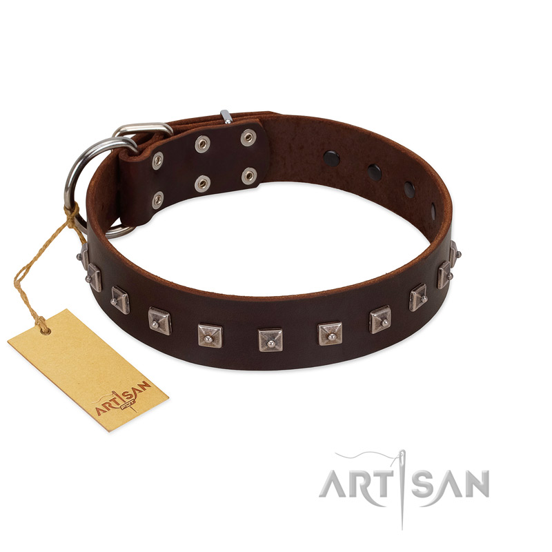 "Kingly Grace" FDT Artisan Brown Leather English Pointer Collar with Silver-like Dotted Studs